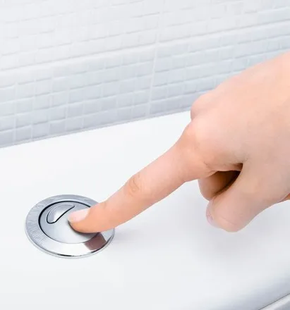 Primary image for Dual Flush feature