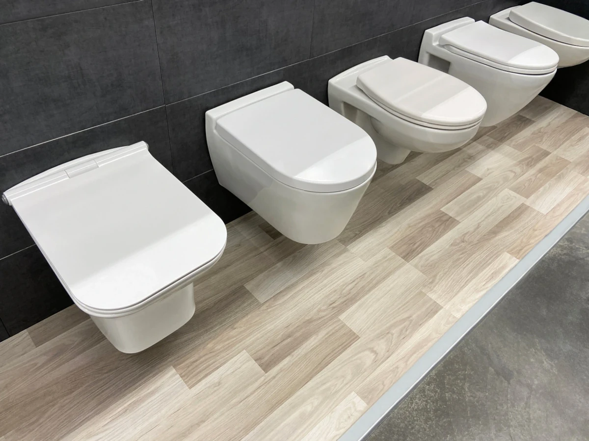 modern toilet