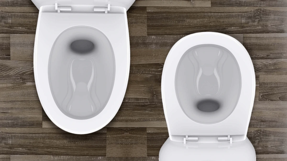 toilet bowl comparison