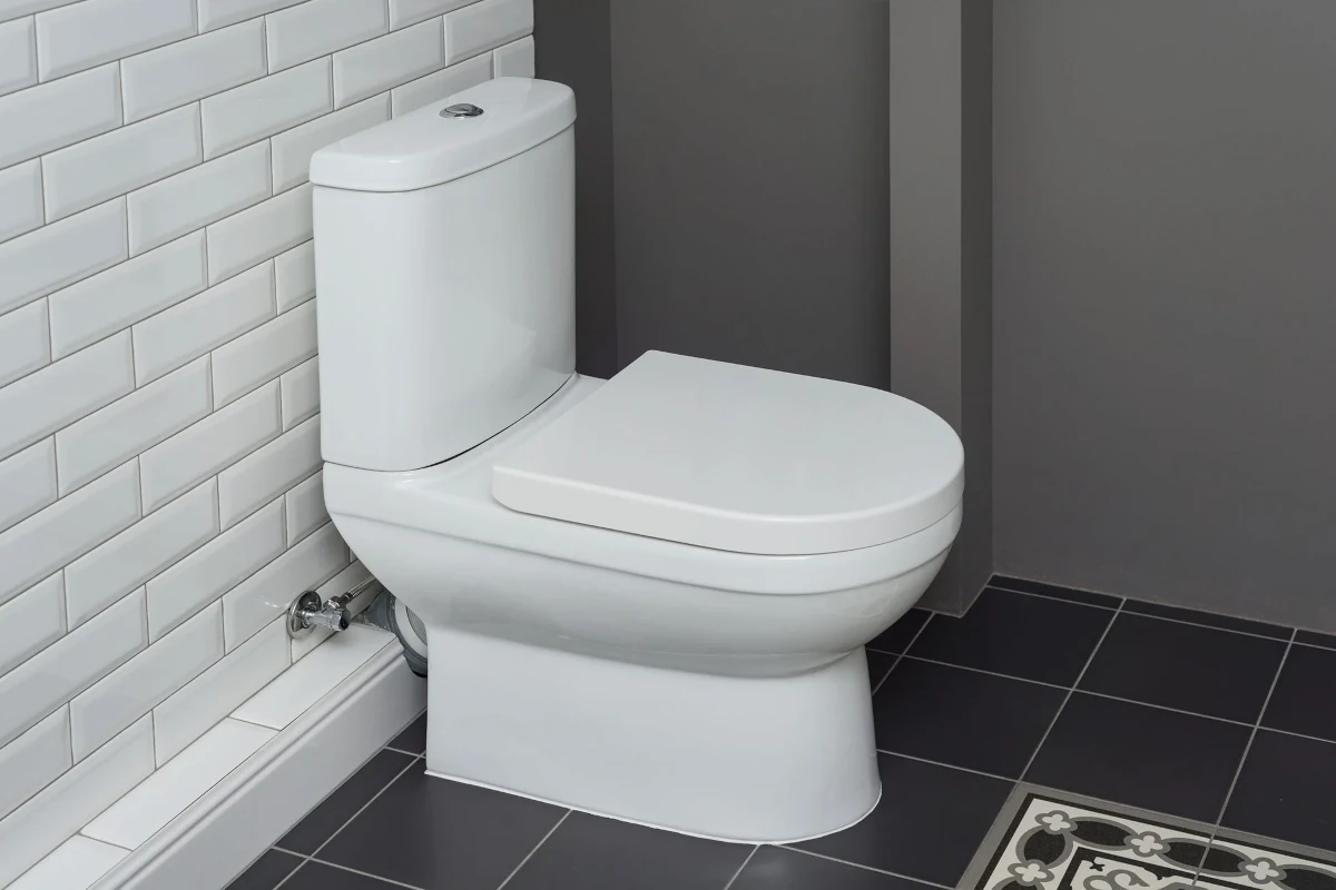 skirted toilet comparison