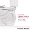 Image for Champion® 4 One-Piece 1.6 gpf/6.0 Lpf Chair Height Elongated Toilet With Seat