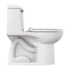 Image for Champion® 4 One-Piece 1.6 gpf/6.0 Lpf Chair Height Elongated Toilet With Seat