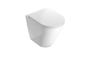 Floor mounted WC FO002