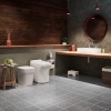 Image for Urinal