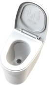 Image for Urinal