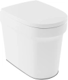 Image for Urinal