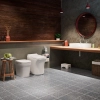 Image for Urinal