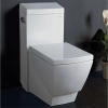 Image for 1-Piece 1.28 GPF Single Flush Elongated Toilet in White