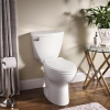 Image for Diplomat Tall Height Elongated Complete Toilet