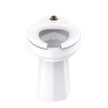 Image for North Point™ 1.1, 1.28, or 1.6 gpf Elongated ErgoHeight™ Top Spud Back Outlet Bowl