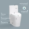 Image for Buxton 1-Piece 1.6 GPF/1.1 GPF Dual Flush Elongated Toilet in White