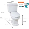 Image for Newcastle 12 in. Rough In Two-Piece 1.0 GPF/1.28 GPF Dual Flush Elongated Toilet in White Seat Included