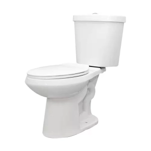 12 inch Rough In Two-Piece 1.1 GPF 1.6 GPF Dual Flush Elongated Toilet in White Seat Included