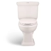 Image for Newcastle 12 in. Rough In Two-Piece 1.0 GPF/1.28 GPF Dual Flush Elongated Toilet in White Seat Included