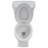 Image for Newcastle 12 in. Rough In Two-Piece 1.0 GPF/1.28 GPF Dual Flush Elongated Toilet in White Seat Included