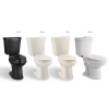 Image for 12 inch Rough In Two-Piece 1.1 GPF 1.6 GPF Dual Flush Elongated Toilet in White Seat Included