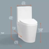 Image for Buxton 1-Piece 1.6 GPF/1.1 GPF Dual Flush Elongated Toilet in White