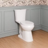 Image for Power Flush 12 in. Rough in 2-Piece 0.95 GPF/1.28 GPF Dual Flush Elongated Toilet in White with Slow-Close Seat Included