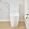 Image for 2-piece 4.8 Lpf (1.28 gpf) Right Height Elongated Toilet