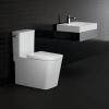 Image for 2-piece 4.8 Lpf (1.28 gpf) Right Height Elongated Toilet