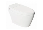 Automate Floor Mounted Water Closet
