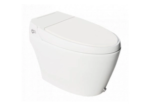 Automate Floor Mounted Water Closet