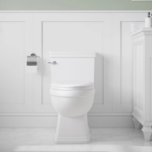 JULIAN SKIRTED One-Piece Toilet