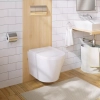 Image for VISTA Wallhung Toilet
