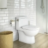 Image for VISTA II One-Piece Toilet