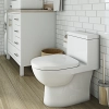 Image for VISTA II One-Piece Toilet