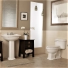 Image for VANIER One-Piece Toilet