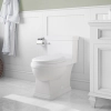 Image for JULIAN SKIRTED One-Piece Toilet