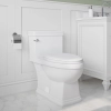 Image for JULIAN SKIRTED One-Piece Toilet