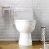 Image for RIOSE One-Piece Toilet