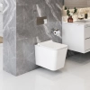 Image for BAXTER Wallhung Toilet