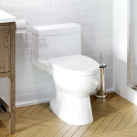 RIOSE One-Piece Toilet