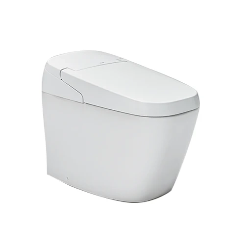 Product Image Enlarged