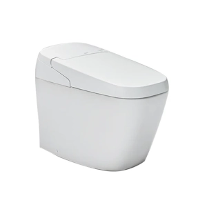 Inax Satis G