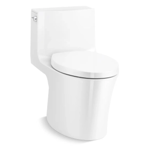 Veil One-piece Elongated Dual-Flush Toilet with Skirted Trapway