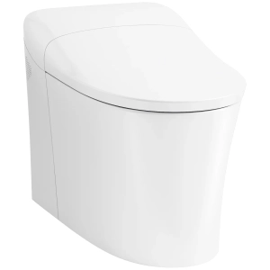 Eir 0.8 / 1.0 GPF Dual Flush One Piece Elongated Chair Height Toilet with Actuator Plate Flush - Bidet Seat Included
