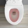 Image for Volta Elongated Bidet Side Lever Dual Flush in White