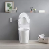 Image for Volta Elongated Bidet Side Lever Dual Flush in White