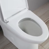 Image for Jade 1-Piece Toilet 1.06/1.59 GPF Dual Flush Elongated Toilet in White with Seat Included