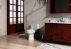 Image for Project Source Laporte Toilet