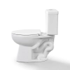 Image for Project Source Pro-Flush 2-piece Toilet