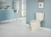 Image for Project Source Pro-Flush 2-piece Toilet