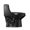 Image for Project Source Laporte Toilet