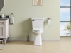 Image for White Elongated Chair height 12-in Rough-In WaterSense 0.8 GPF Single Slow Close Feature 2-piece