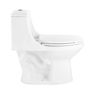 Project Source Laporte Toilet