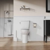 Image for White Elongated Tall height 12-in Rough-In WaterSense 1.28 GPF Single Slow Close Feature 2-piece